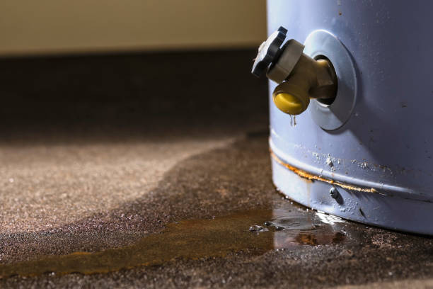 Best Flooded house restoration  in Albany, WI