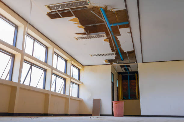 Best 24/7 water damage repair  in Albany, WI
