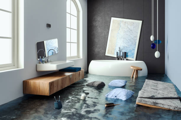 Professional Water damage restoration in WI