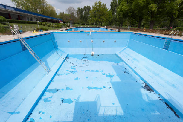 Best Carpet water damage restoration  in Albany, WI