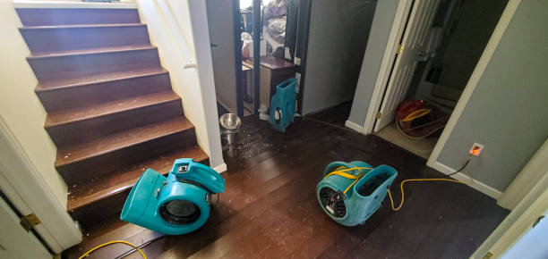 Best Water damage contractors near me  in Albany, WI
