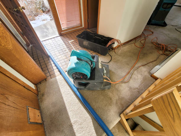 Best Basement water damage restoration  in Albany, WI