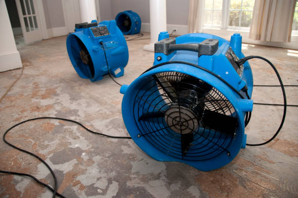 Carpet water damage restoration in WI