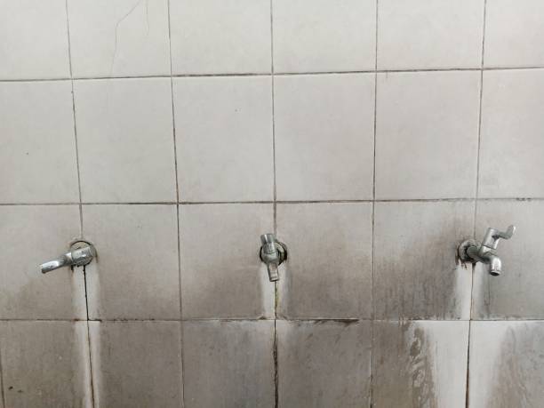 Best Flood damage cleanup  in Albany, WI