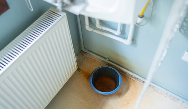 Best Emergency water damage restoration  in Albany, WI