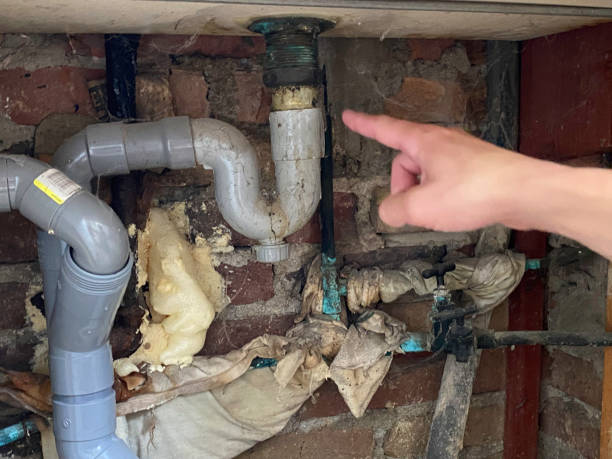 Best Sewage cleanup and water damage restoration  in Albany, WI