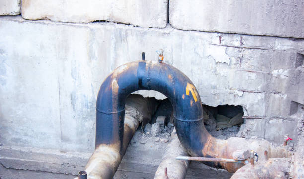 Best Ceiling water damage repair  in Albany, WI