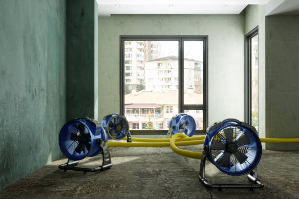 Best Fire Damage Restoration  in Albany, WI