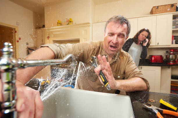 Best Residential water damage restoration  in Albany, WI